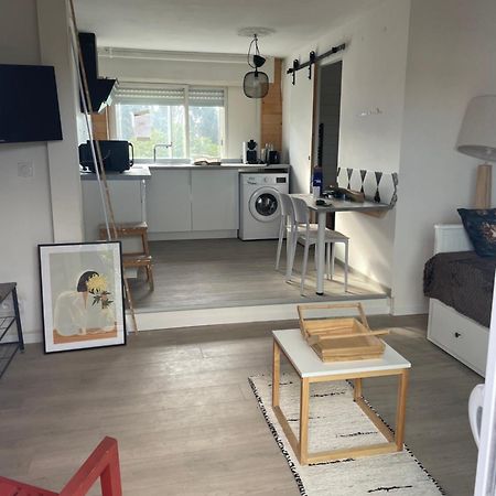 Studio A 15 Mn De Toulouse A Castelginest المظهر الخارجي الصورة